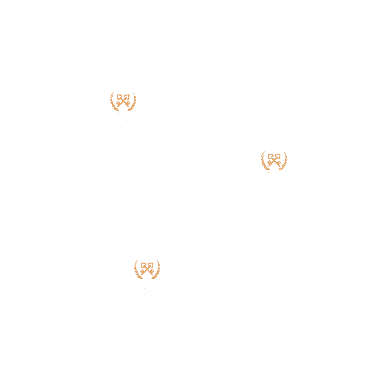 Camel Ride Adventure